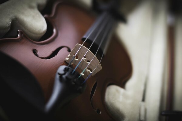 Maravilloso instrumento este violín