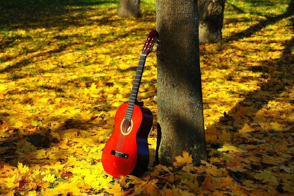 Czerwona gitara na ziemi w jesiennym parku