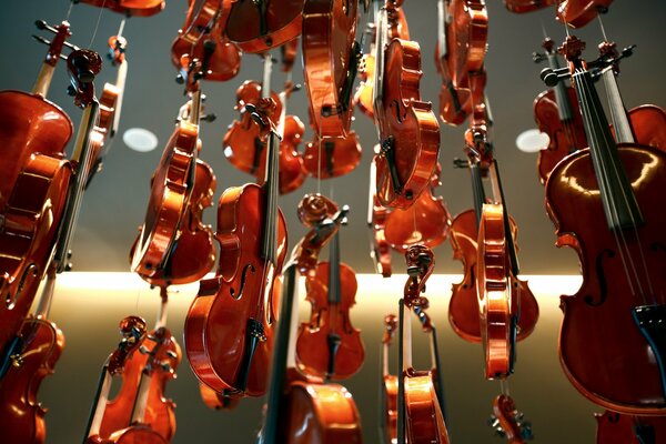 Fondo de violines lacados y brillantes