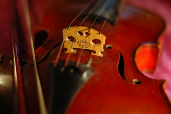 With the help of a violin, beautiful music is created