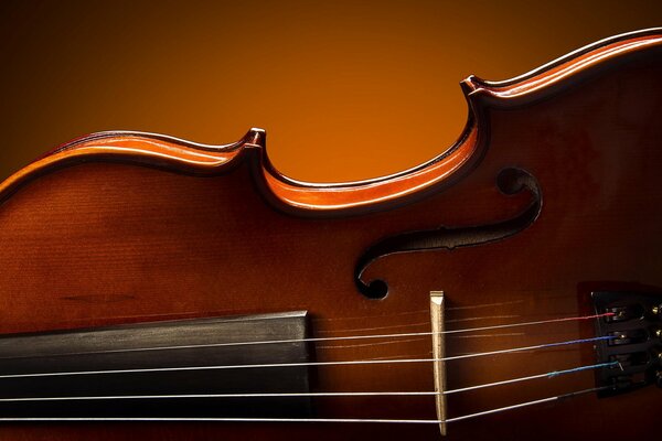 A violin for kings. Macro size. Gloss and varnish
