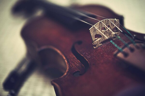 Instrument de musique violon repose