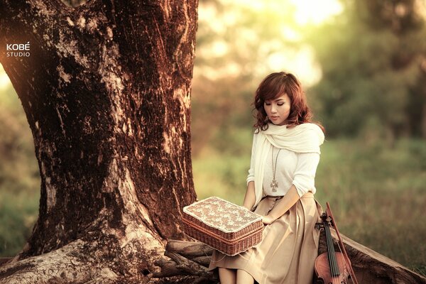 Giovane violinista con scatola di vimini per picnic