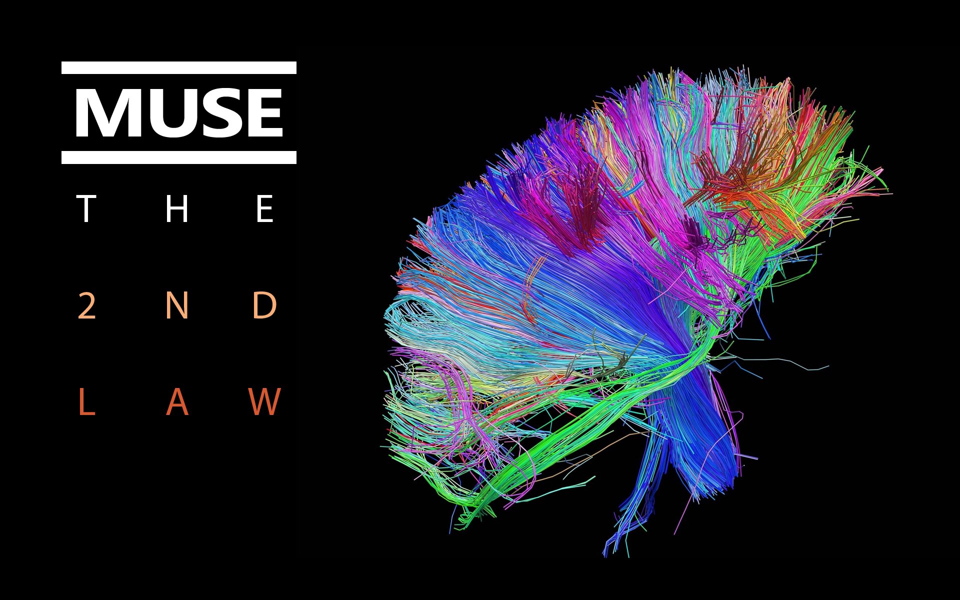 muse the 2nd law bundle colors wires brain cover