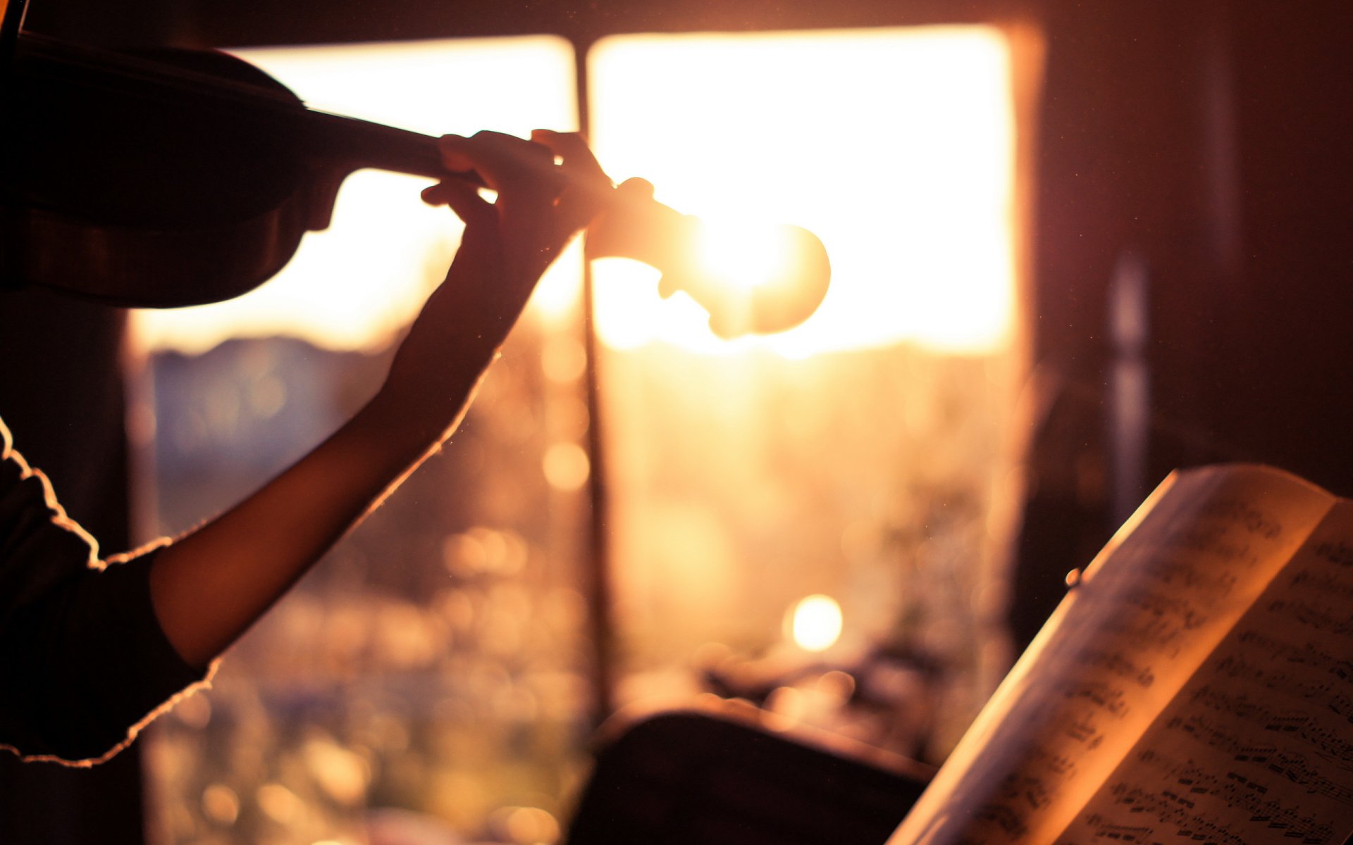 música violín partituras luz estado de ánimo la vida es hermosa