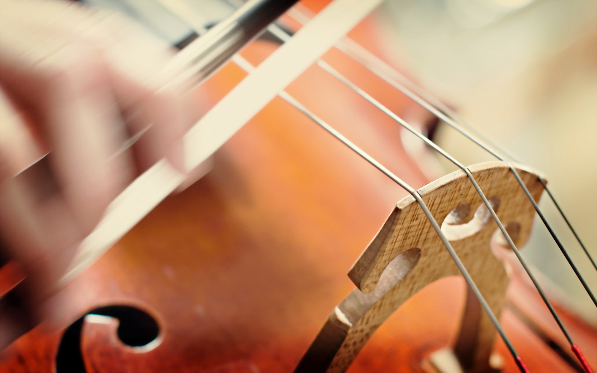 música violín macro