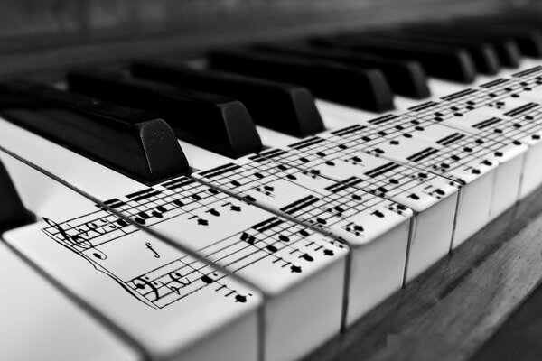Touches de piano noir et blanc avec des notes dessinées dessus