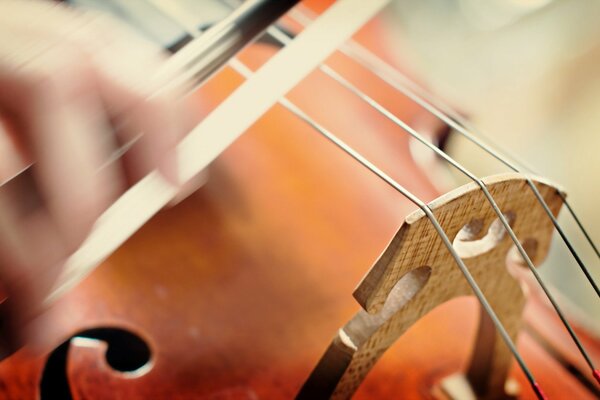 Fotografia makro gry na skrzypcach