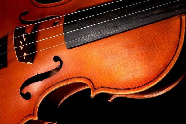 What curves!! what a shape!! what strings!!!