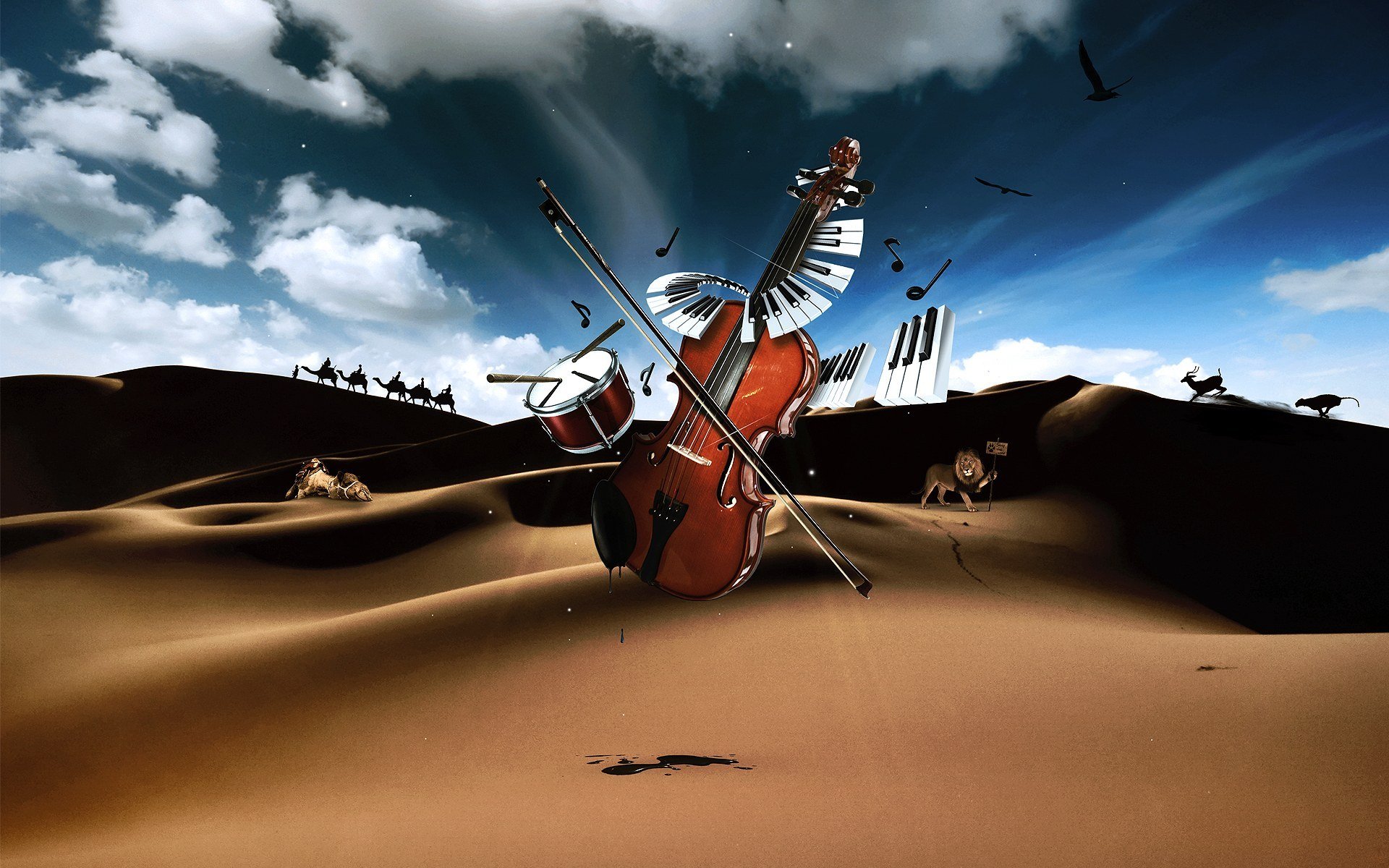 musical instruments violin key drum desert