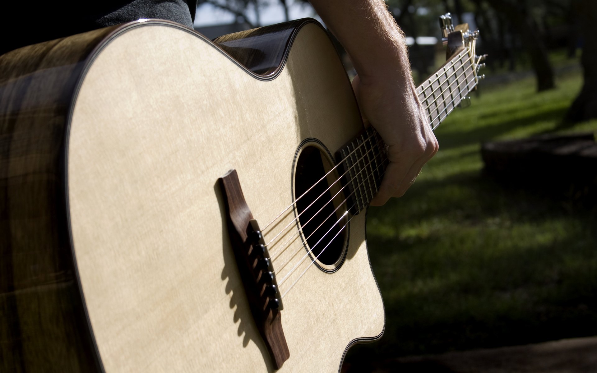 hand guitars string vulture soundboard