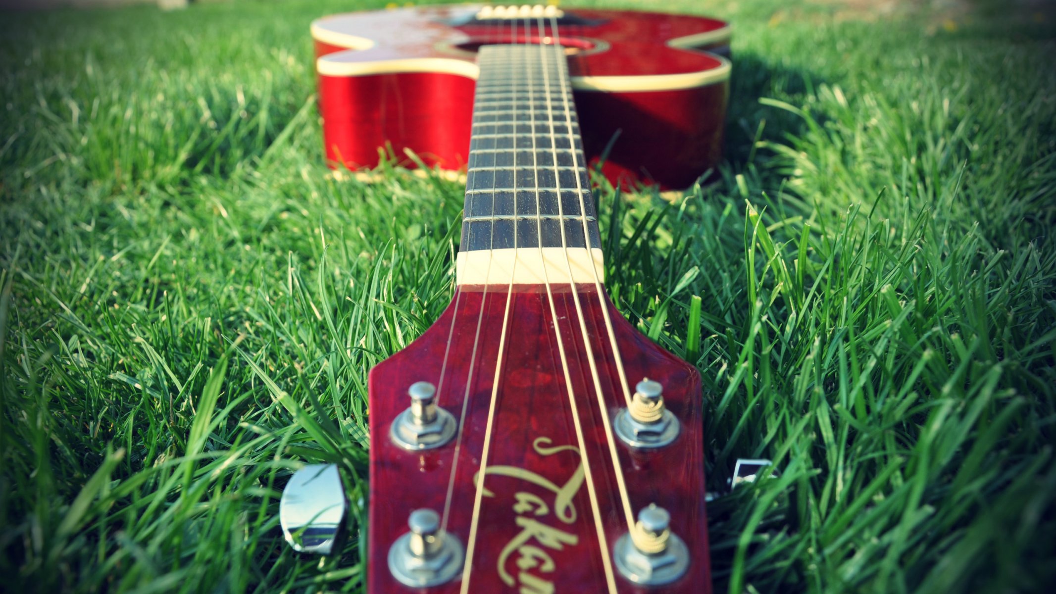 musical instruments guitars nature grass plants mood music wallpaper