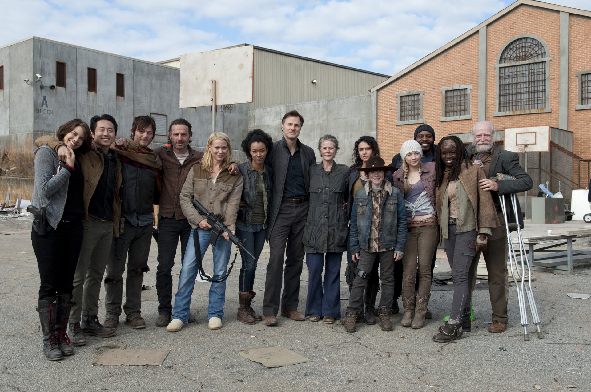 the walking dead the walking dead TV series actors team