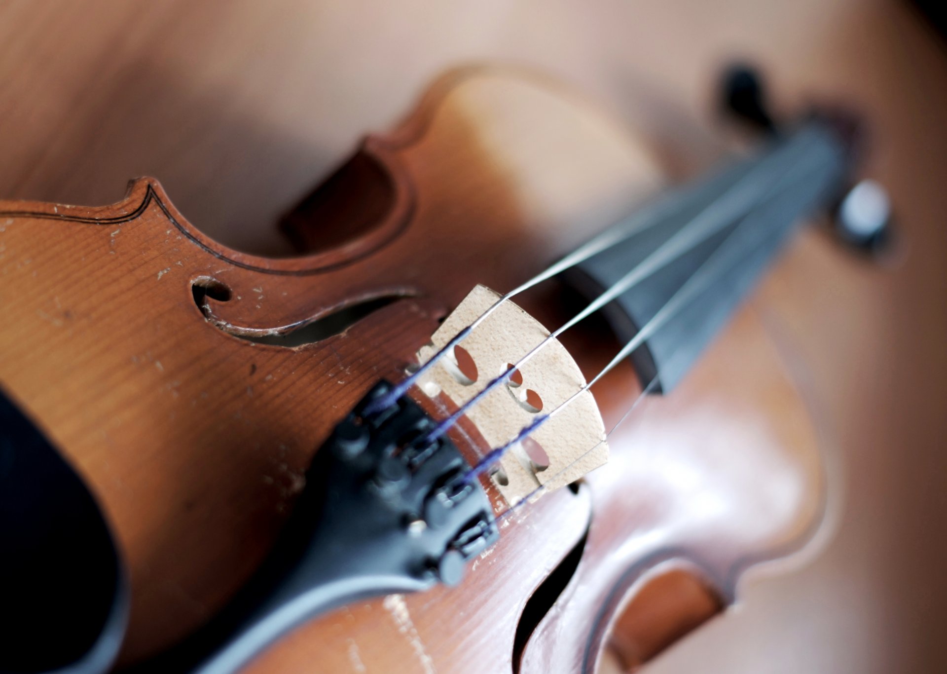 photo picture macro musical instrument violin strings case wallpaper