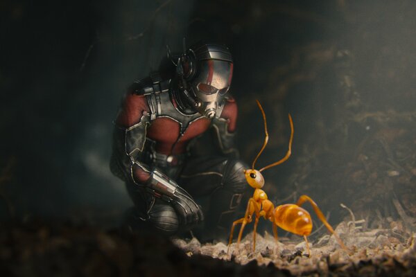 Superbohater Marvela przykucnął przed mrówką