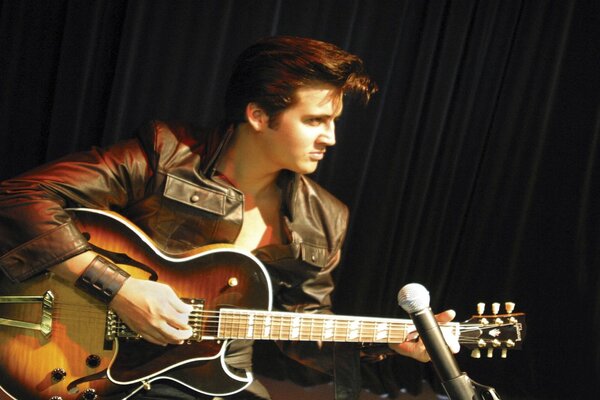 Elvis Presley, concerto, chitarra, microfono