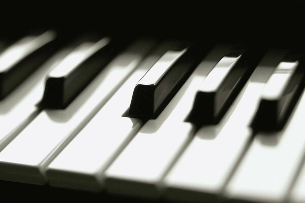 Tasti bianco e nero su un pianoforte