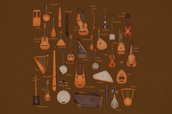 Stringed musical instruments in the assortment