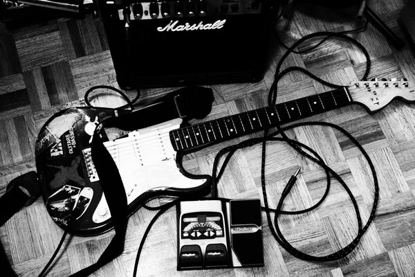 Photo d une Guitare électrique dans un kit préfabriqué