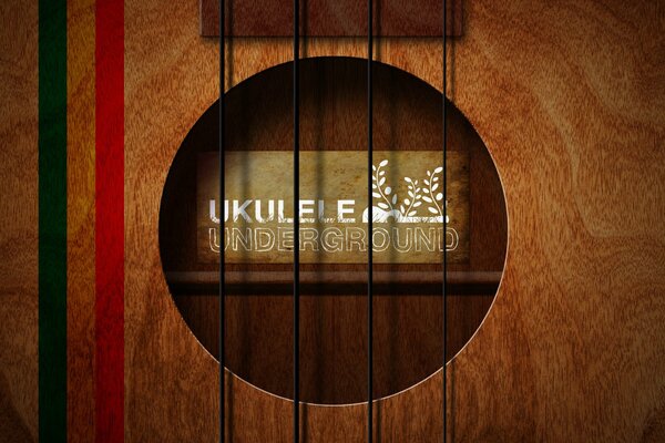 Ukulele soundboard close-up