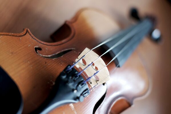 Foto del violino sul tavolo