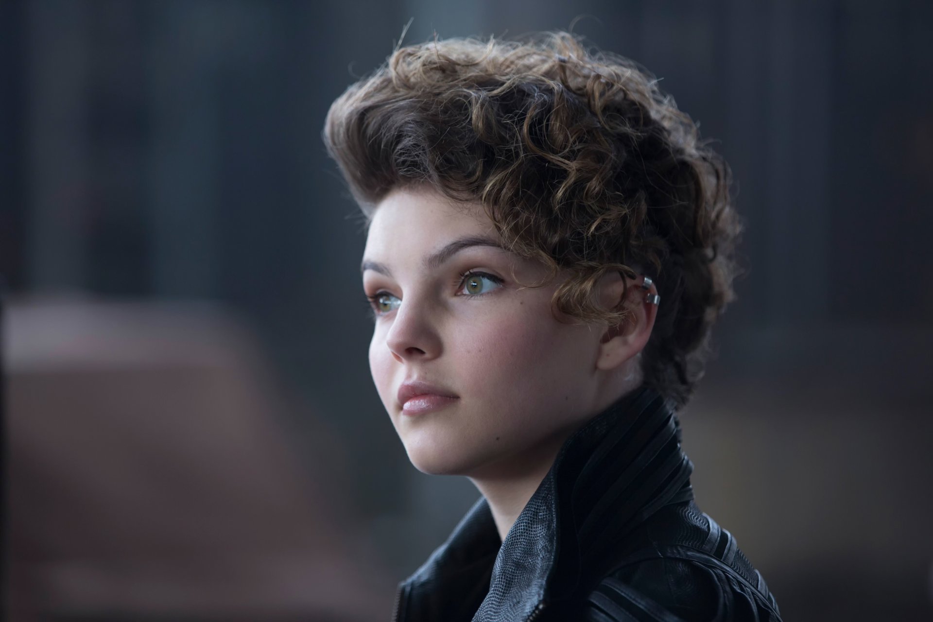 elina bicondova all happy families are similar