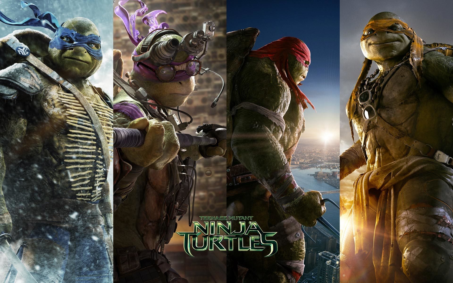 wojownicze żółwie ninja wojownicze żółwie ninja donatello leonardo michelangelo rafael rafael tmnt