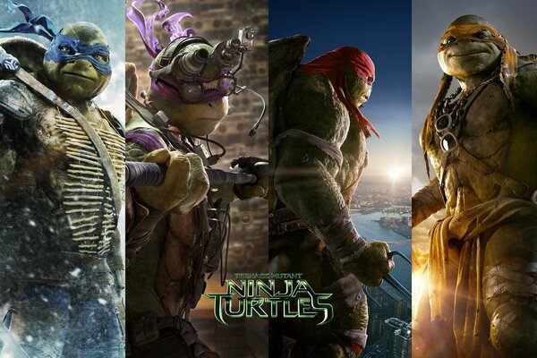 Ninja Turtles Raphael, Donatello, Leonardo, Michilangelo