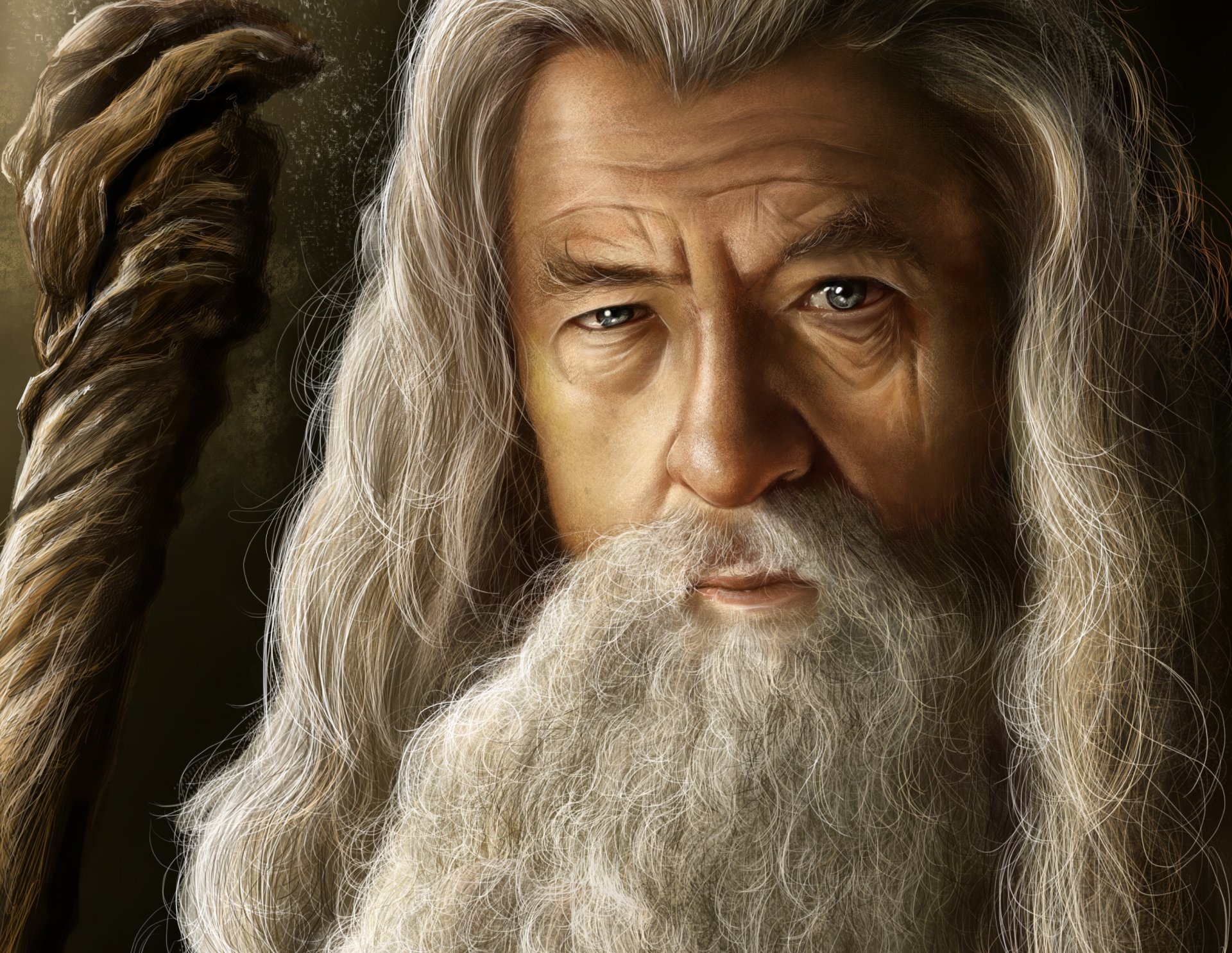 arte il signore degli anelli gandalf mago grigio vecchio barba bastone