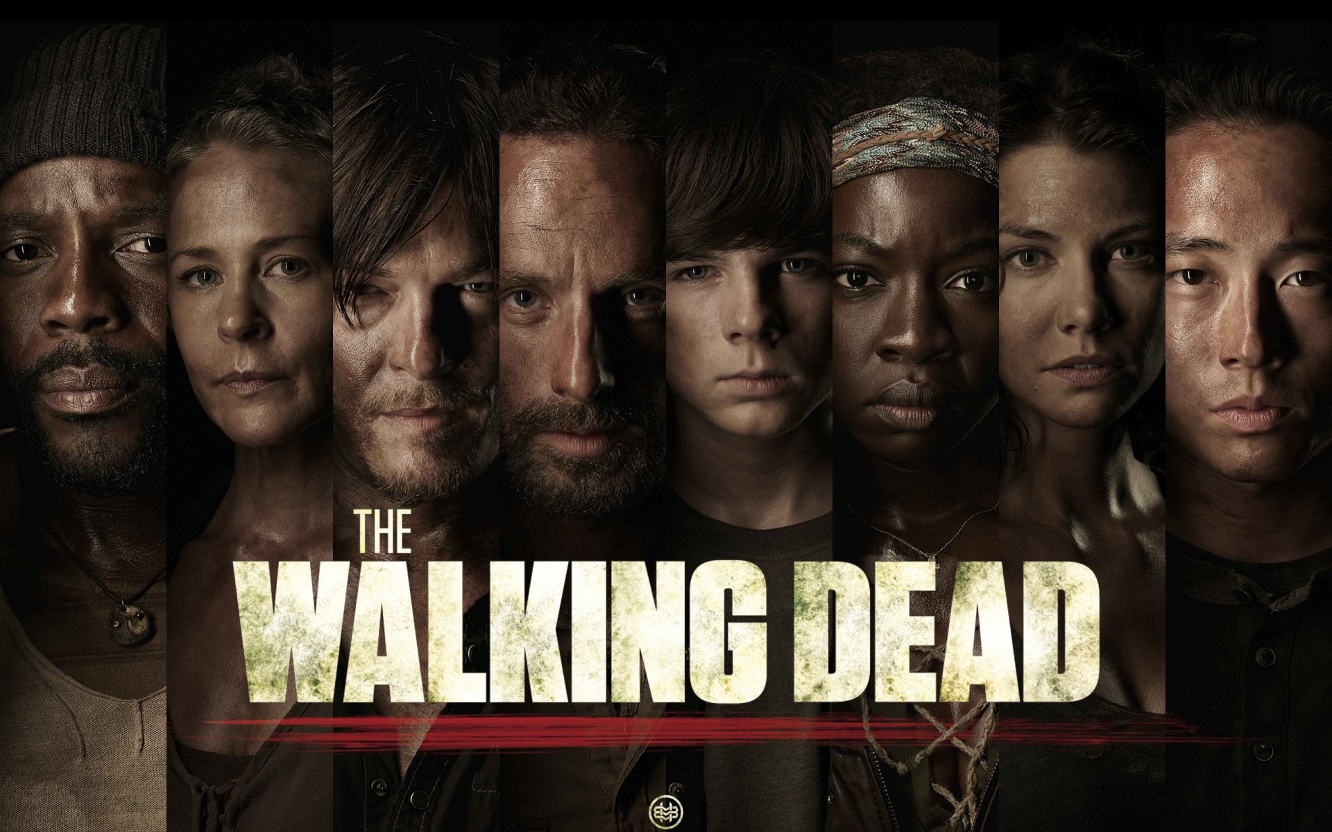 the walking dead the walking dead série tv rick carl daryl michonne glenn maggie carol tyreese tyreese