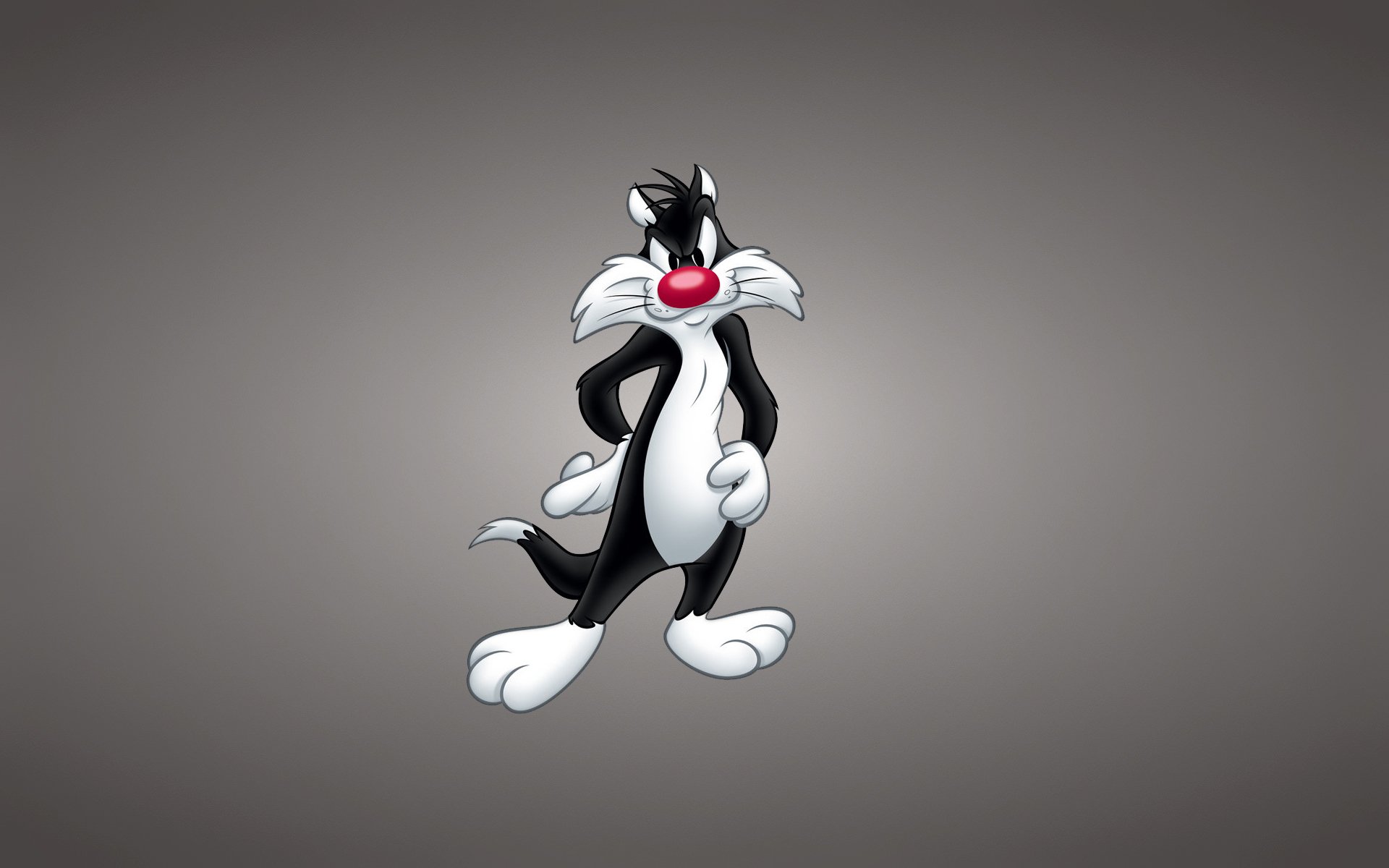 looney tunes tonos divertidos looney tunes sylvester cat sylvester cat