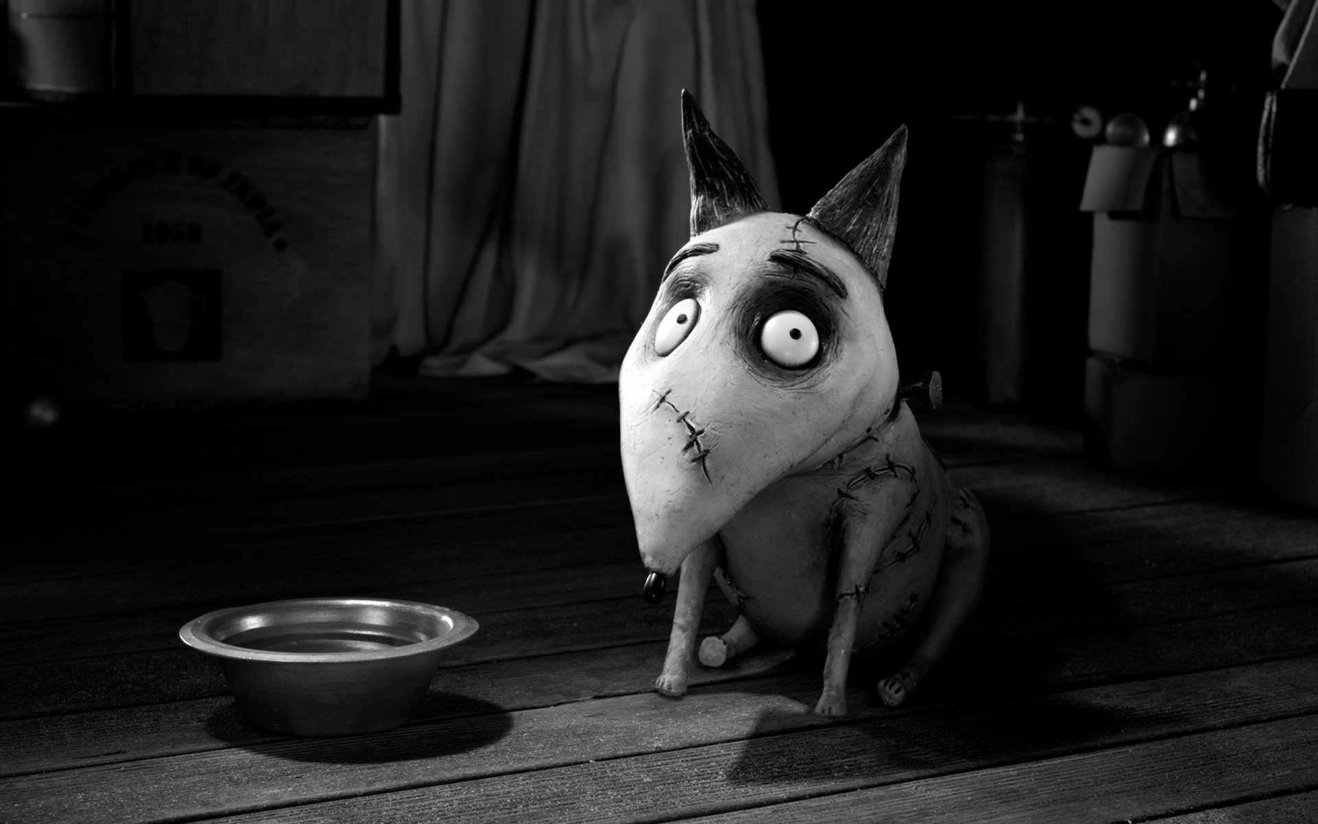 frankenweenie cane ciotola cartone animato