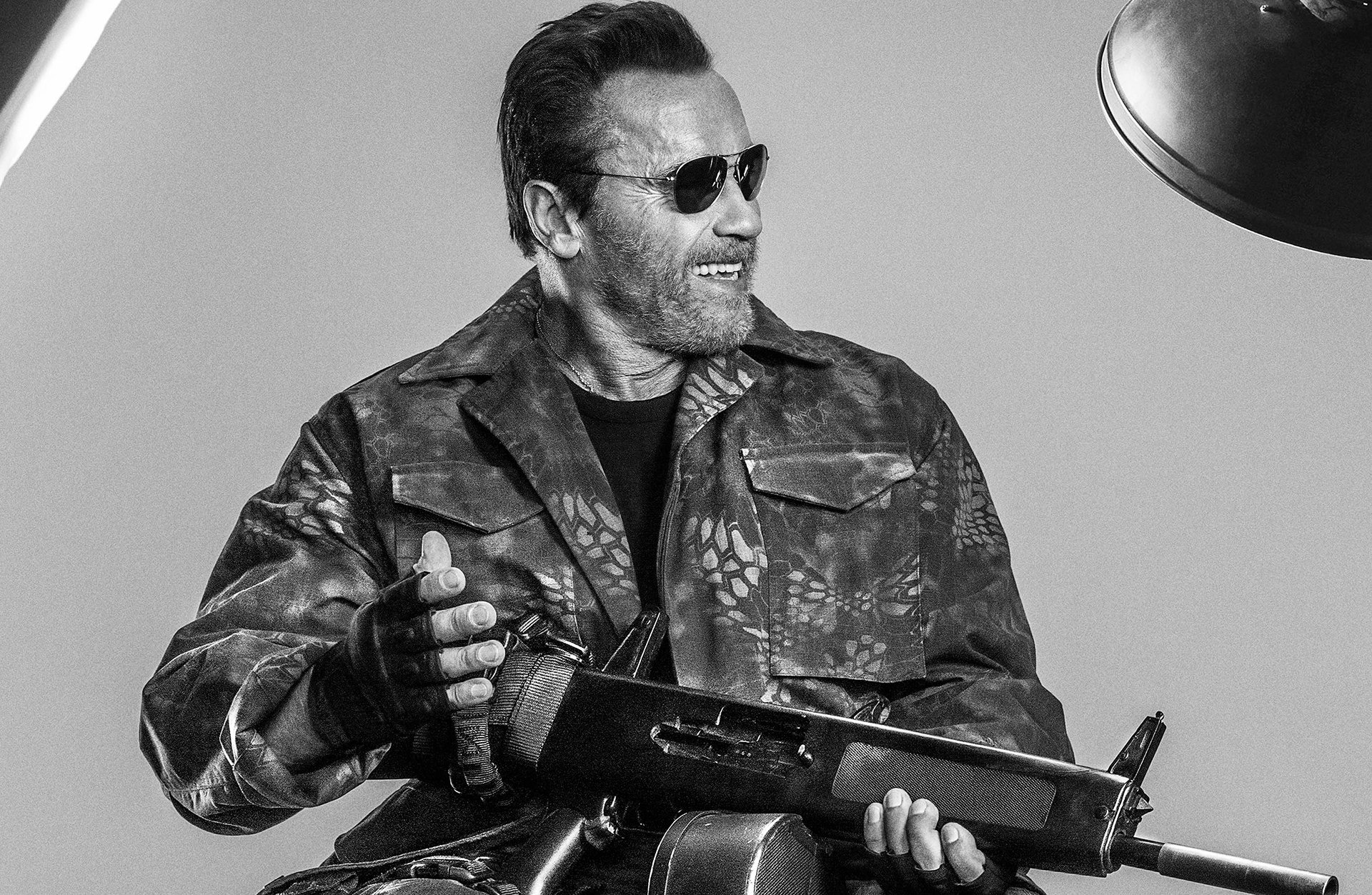 the expendables 3 arnold schwarzenegger