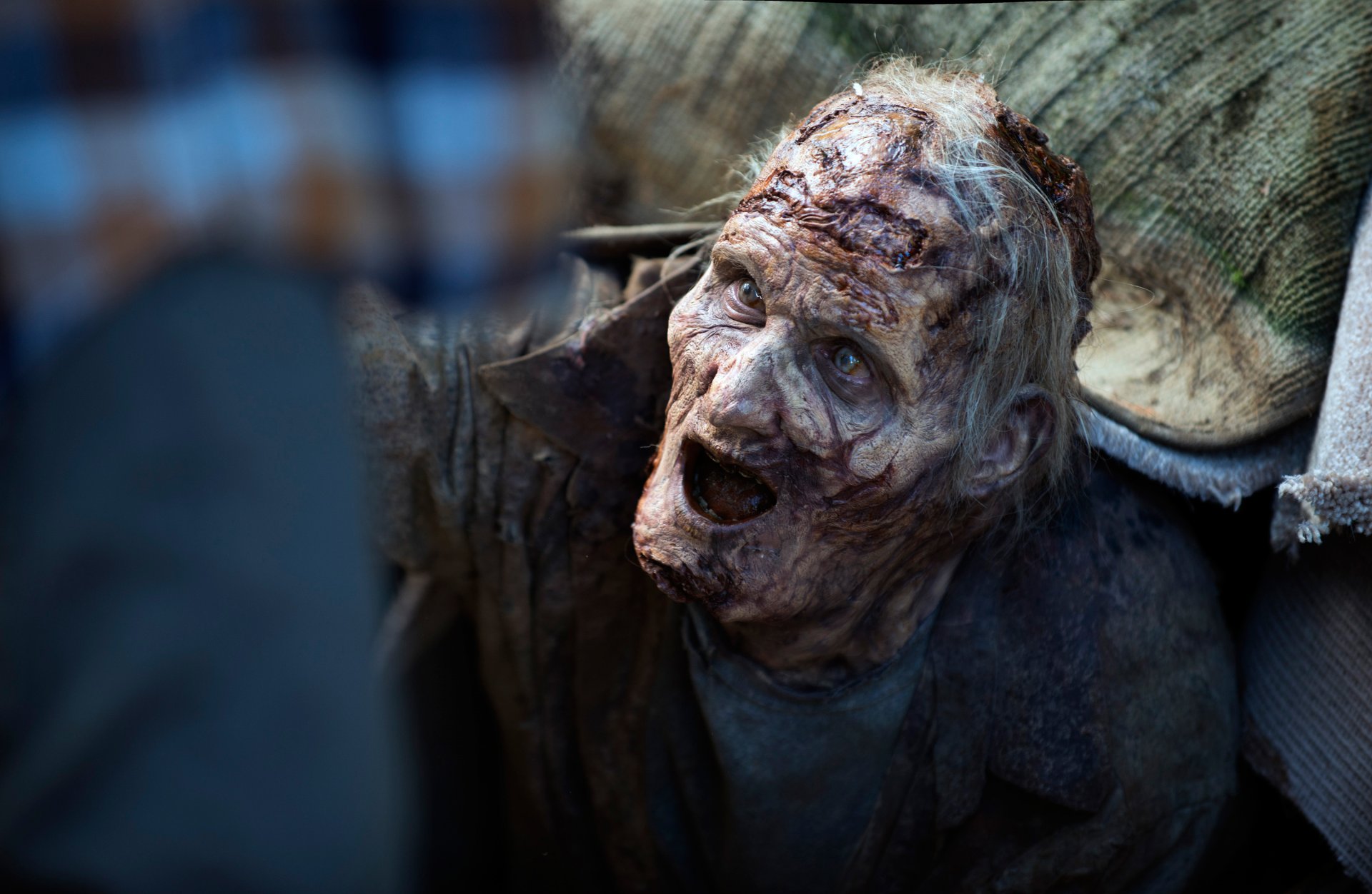 the walking dead walking season 5 episode 12