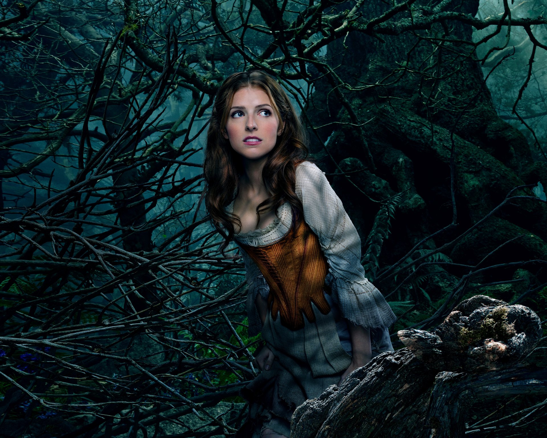 dans la forêt désigner forêt film film 2014 année anna kendrick cendrillon walt disney pictures comédie famille fantastique musical fille femme visage bleu yeux lèvres arbres nature montagnes ciel obscurité nuit hd fond d écran