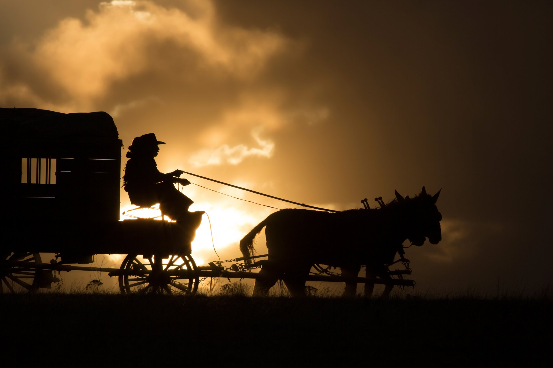 homesman local drame western tommy lee jones hilary swank