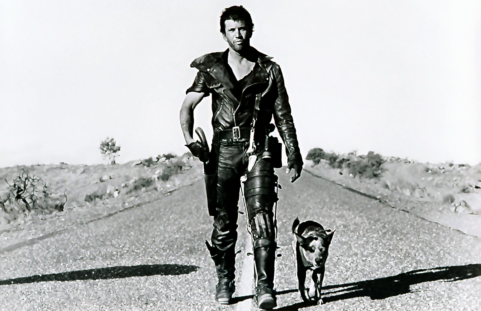 arte mad max 2 guerrero de la carretera mel gibson post-apocalíptico perro carretera