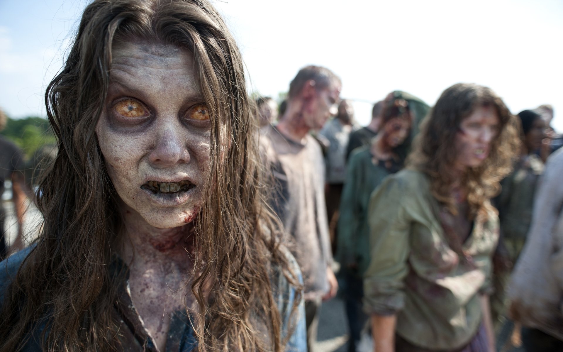 the walking dead the walking dead série tv zombie troupeau