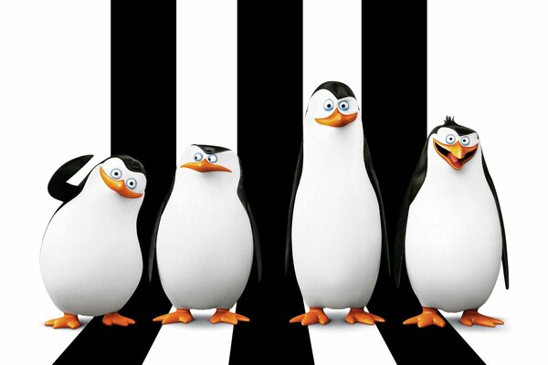 Patrón, Kowalski, rico, Alférez-pingüinos de la historieta Madagascar
