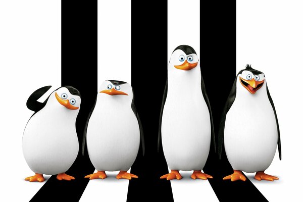 Skipper, Kowalski, Rico , Chorąży-Pingwiny z kreskówki Madagaskar