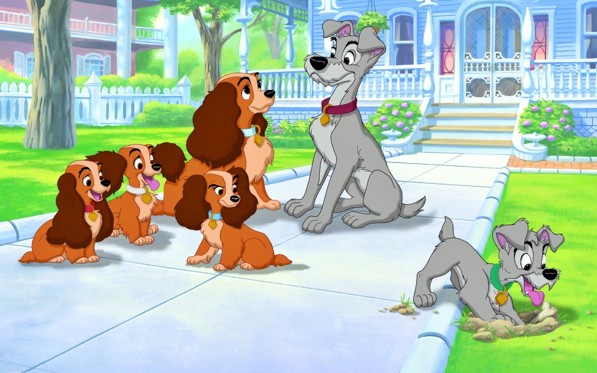 lady and the tramp cartoon disney walt disney house dogs puppies bone american cocker spaniel lady homeless dog hobo homer