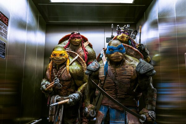 Teenage Mutant Ninja Turtles in the elevator