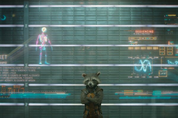 Jet Raccoon guardian of the galaxy