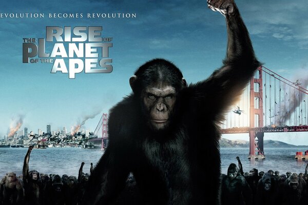 Rise of the Planet of the Apes, against the backdrop of San Francisco