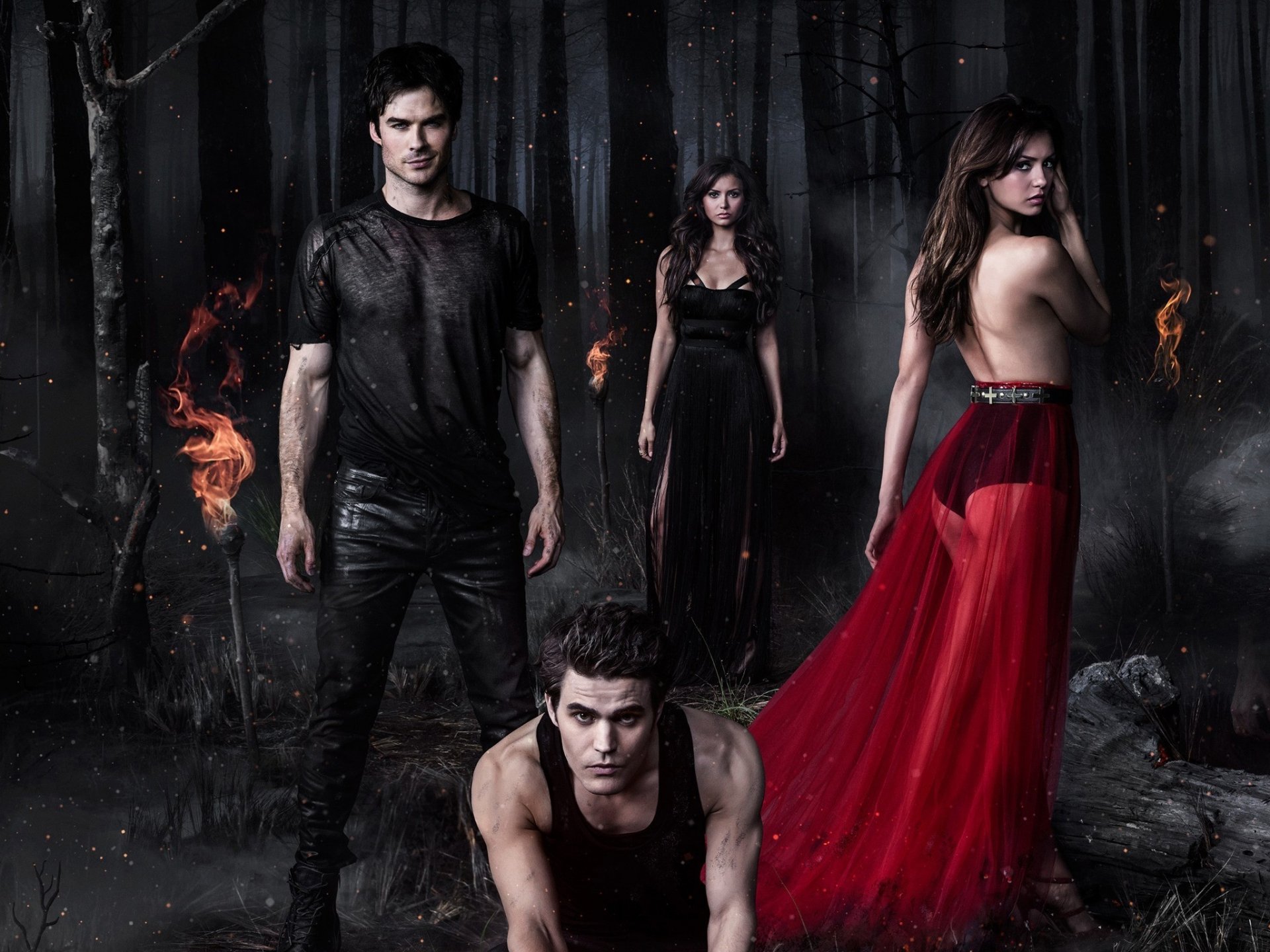 the vampire diaries nina dobrev elena gilbert paul wesley stefan salvatore