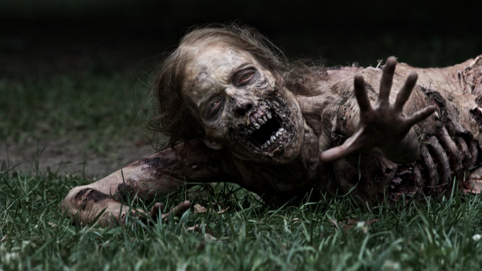 the walking dead tv series serial zombie gra