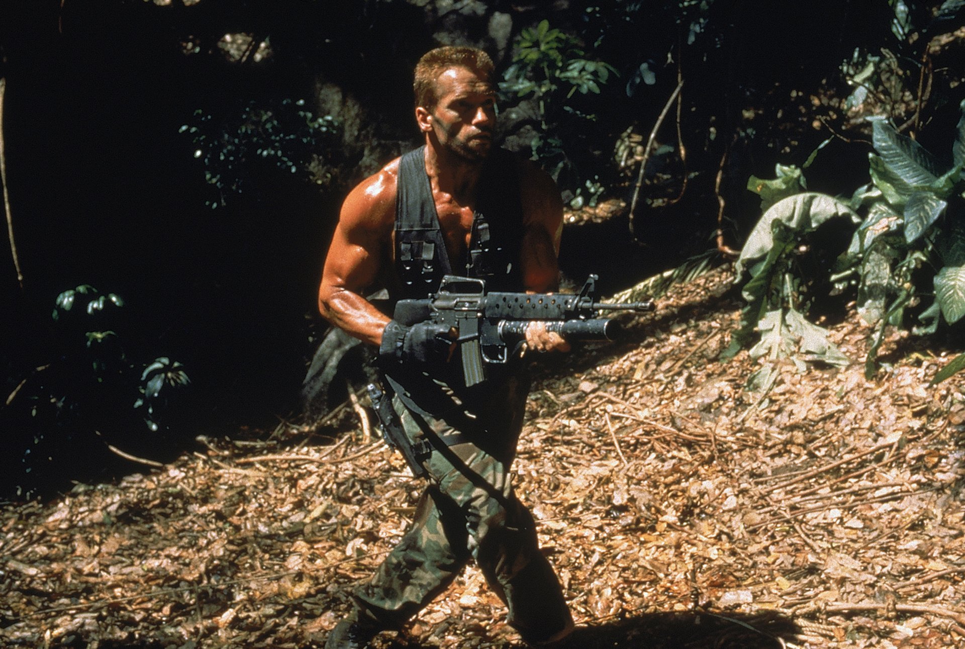 raubtier arnold schwarzenegger niederländisch soldat mann schauspieler dschungel