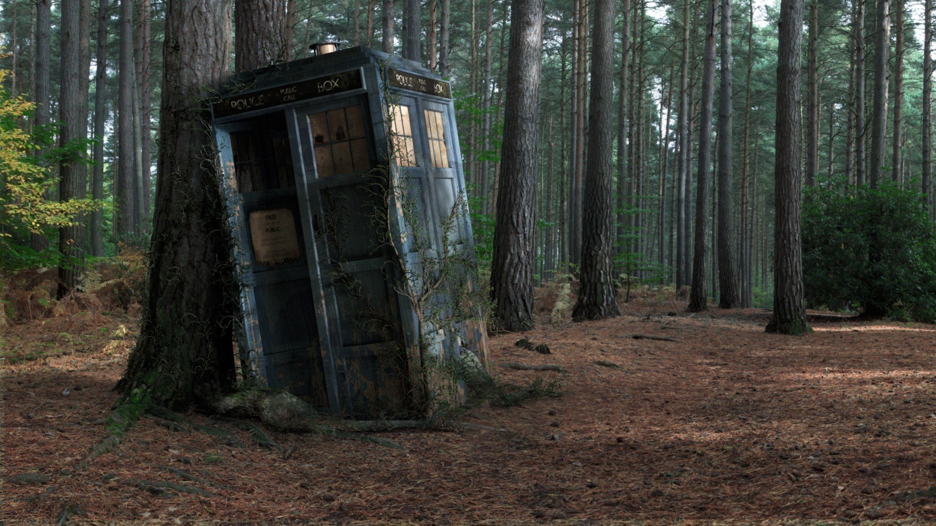 polizei-box wald baum box tardis