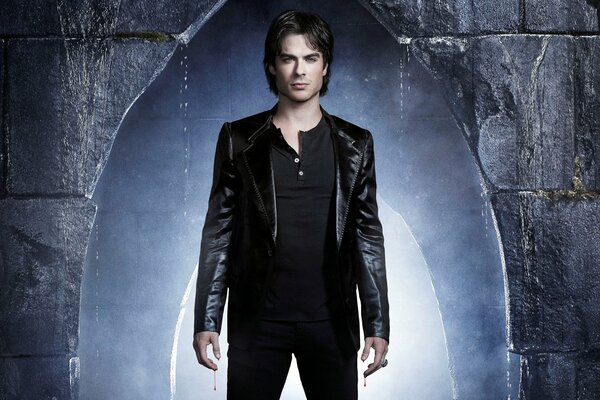 The vampire Diaries. Damon Salvatore