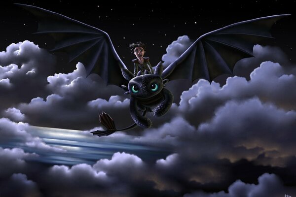 Art dragon Toothless joy flight